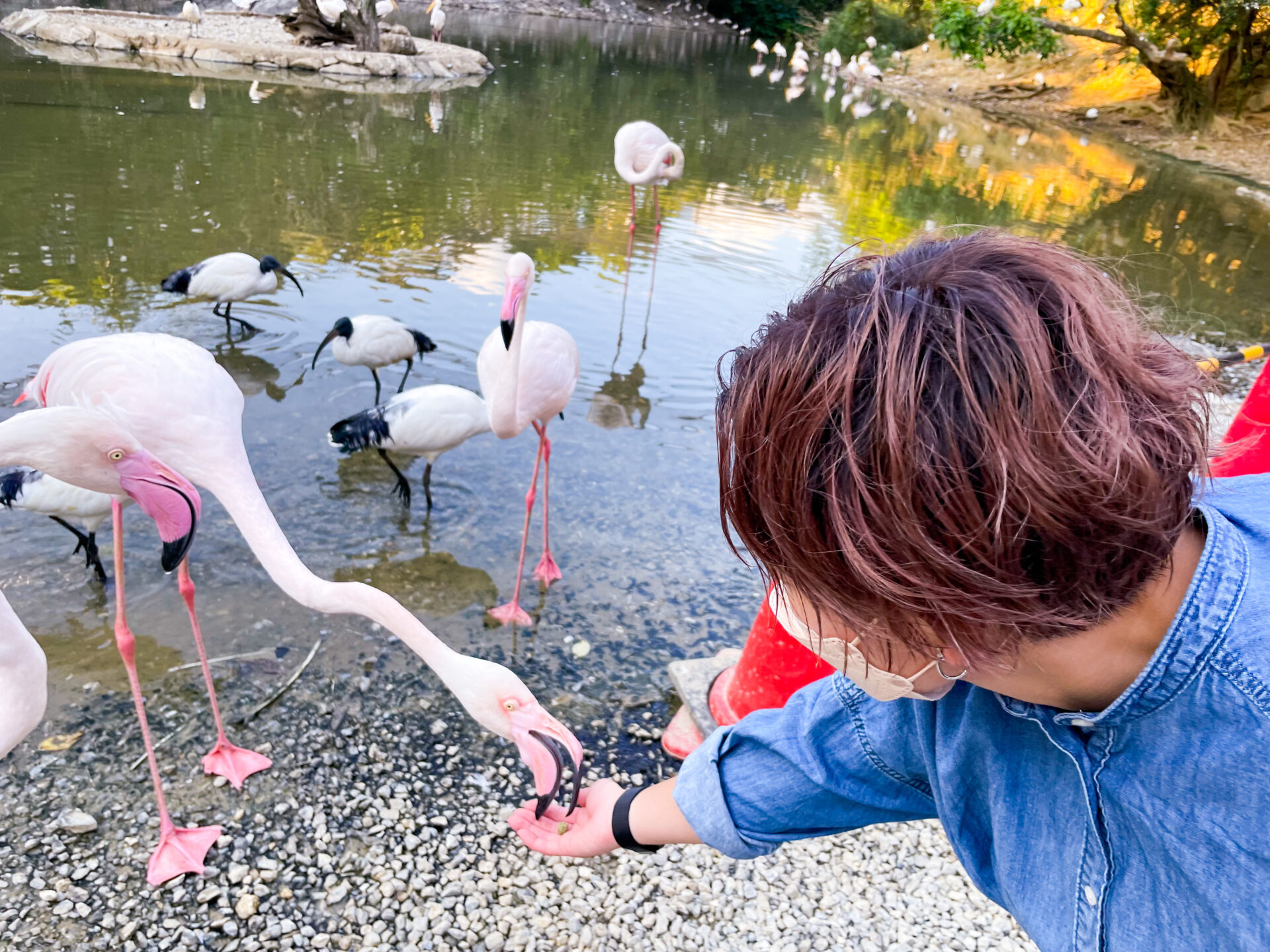 ショートにしたらまとまらなくなった？！クセがあってもショートにできる？？(・・?)