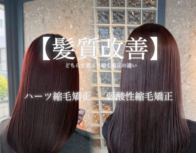 どっちを選ぶ？ハーツ縮毛矯正と弱酸性縮毛矯正を徹底比較🔍✨